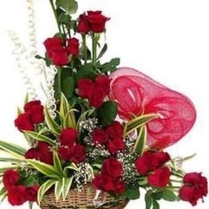 Meet your Posher, Thuy